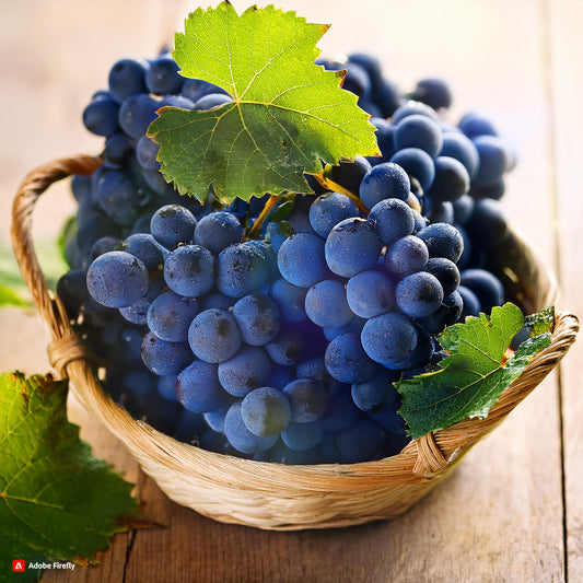 Aromatizante alimentario de uva Concord 10 ml - Profesional de alta potencia