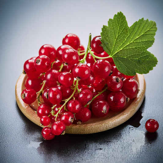 Sweet Currant High Strength Professional Food Flavouring.